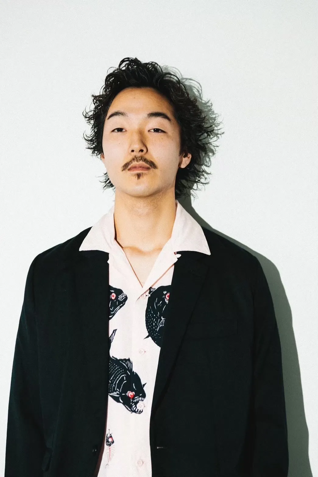 short wolf × spiky curl